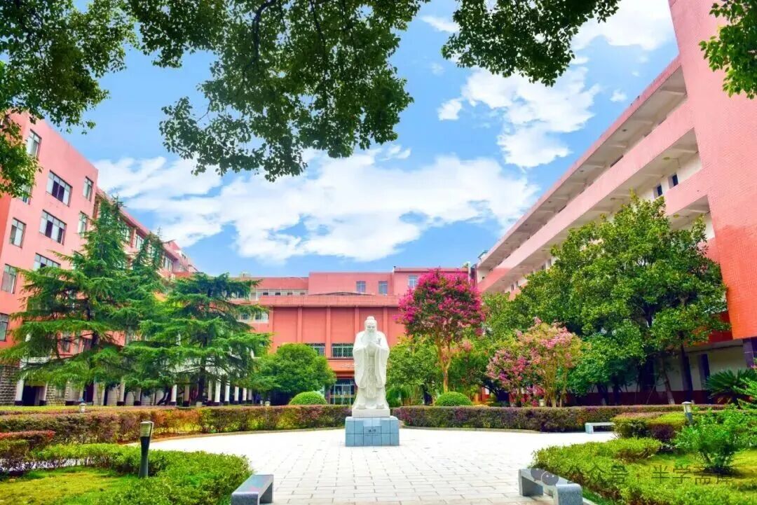 教学改革：湖南师大附中“三导四学”教学理念的推广路径